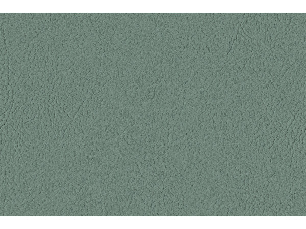 Certifikovaná umelá koža DE12E/69